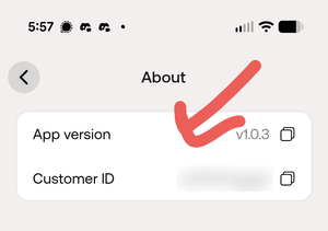 Bee About screen with an arrow pointing to the App version row
